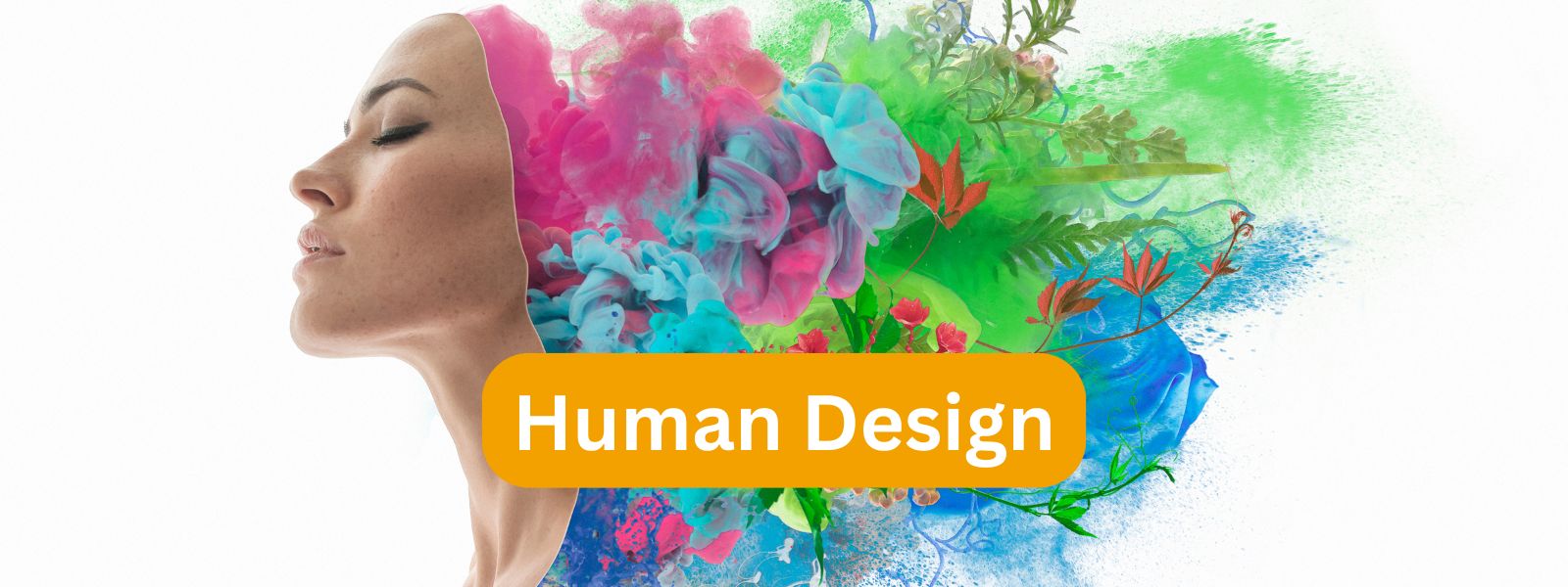 Human Design Overview