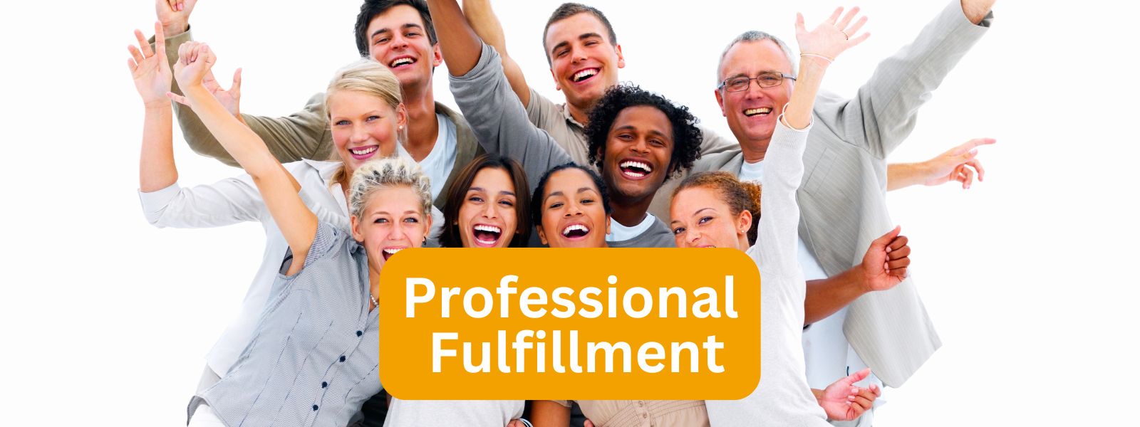 Professional Fulfillment Overview